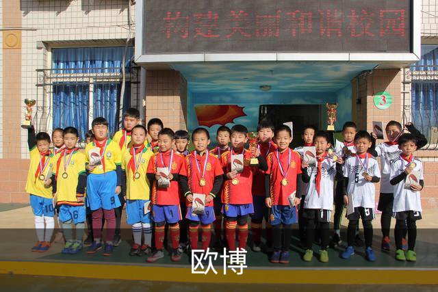欧博公司简介图片